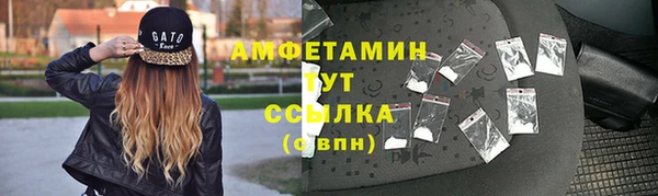 прущий лед Алзамай