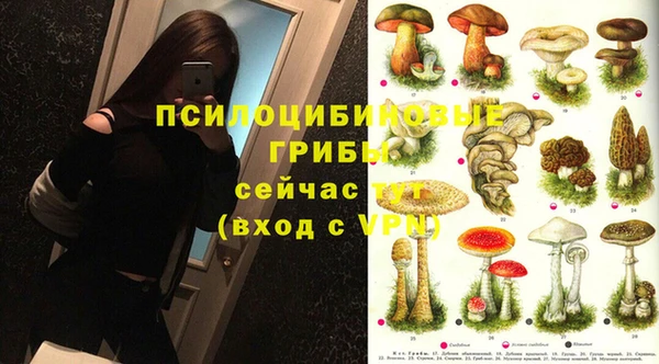 прущий лед Алзамай