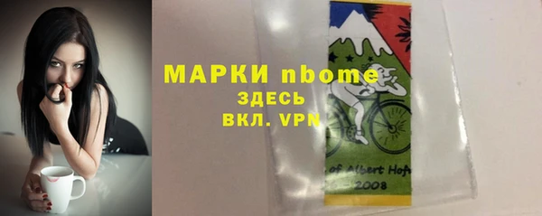 прущий лед Алзамай