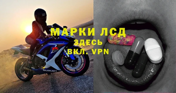 прущий лед Алзамай