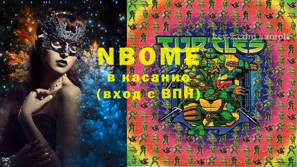 прущий лед Алзамай