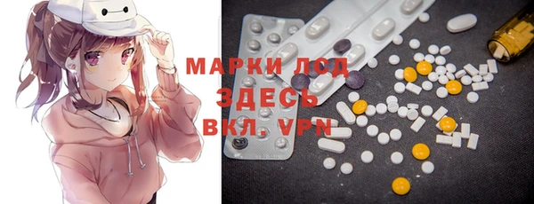 прущий лед Алзамай